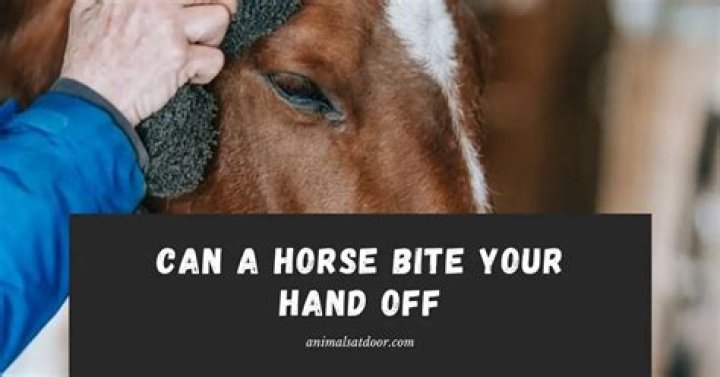 Do horses bite off fingers?