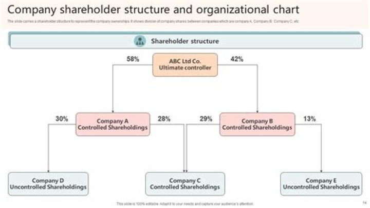 Do shareholders have a say in a company?