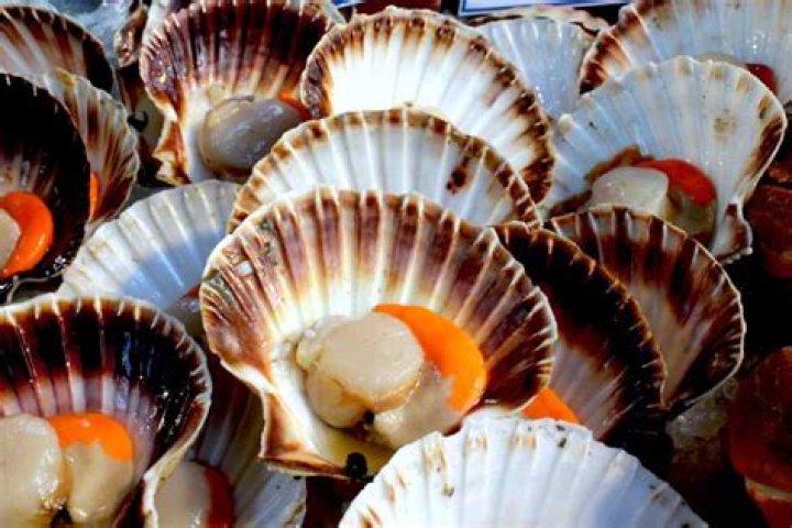 Do you eat the orange bit on a scallop?