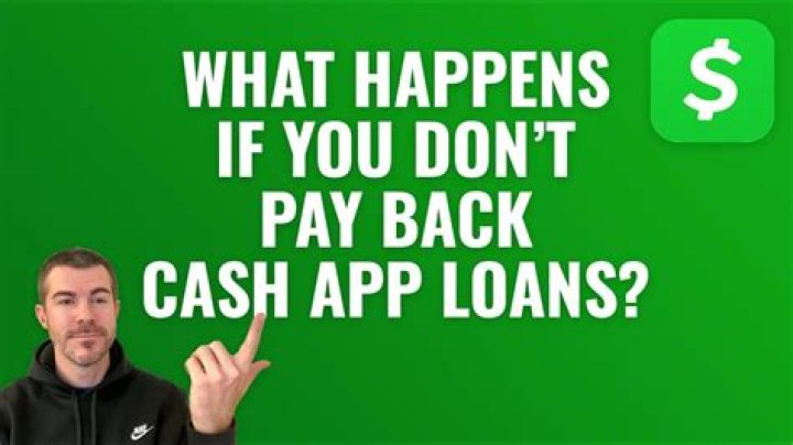 Do you have to pay back institutional loans?