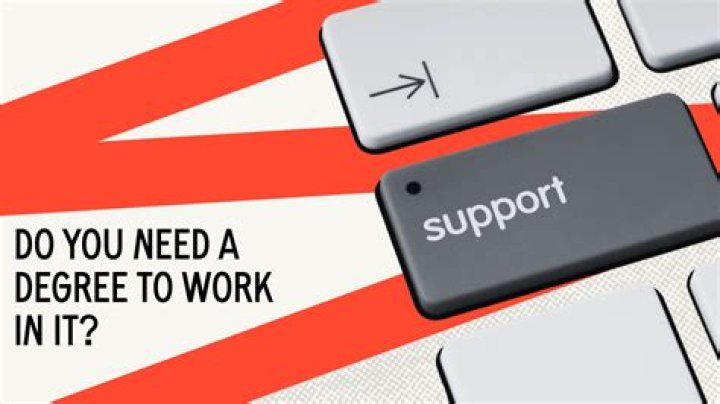 Do you need support in Lost Ark?