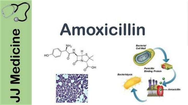 Does amoxicillin make you poop?