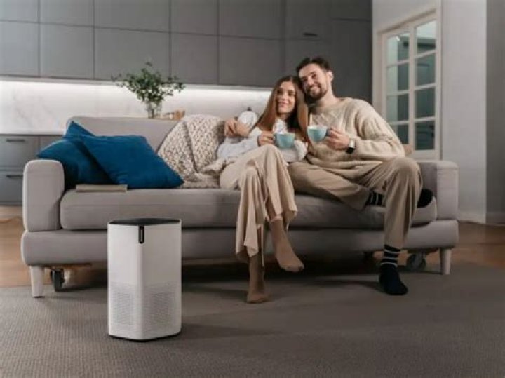 Does an air purifier help with allergies?