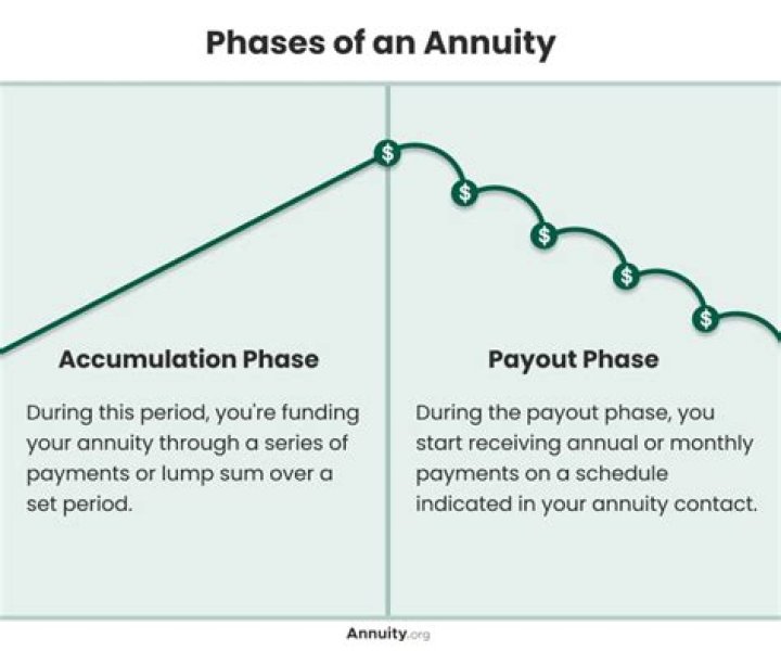 Does an immediate annuity have an accumulation period?