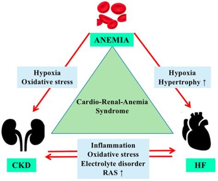 Does anemia cause kidney failure?