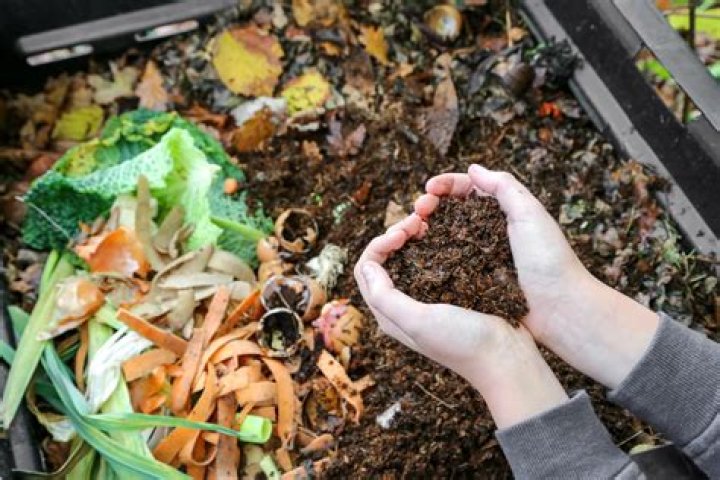 Does composting save you money?