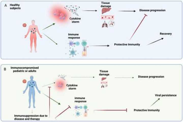 Does having Sjogren's mean you are immunocompromised?