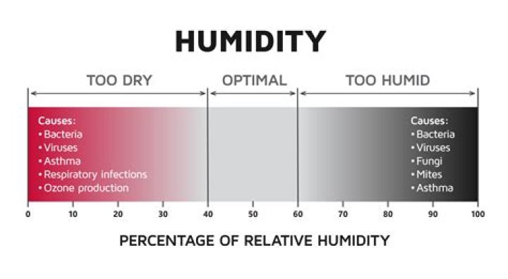 Does humidity make MS worse?