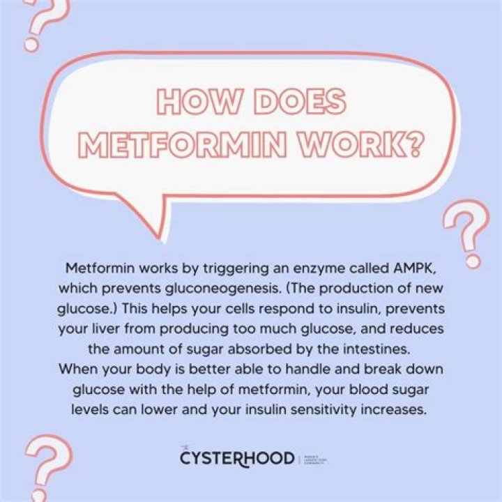 Does metformin prolong your life?