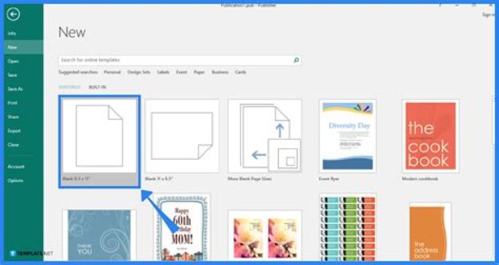 Does Microsoft offer Publisher for Mac?