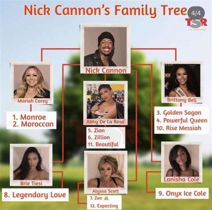 Does Nick Cannon own any of Nickelodeon?