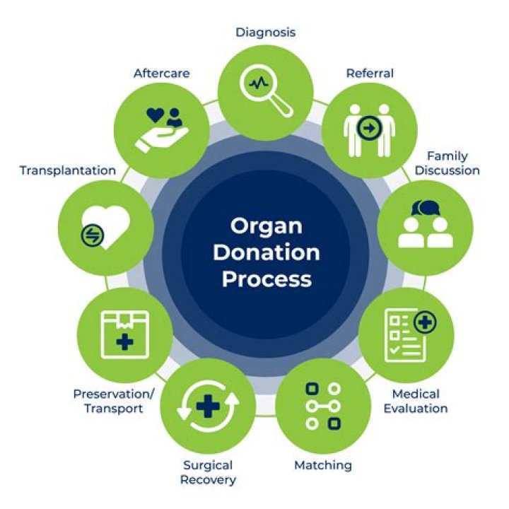 Does race matter in organ donation?