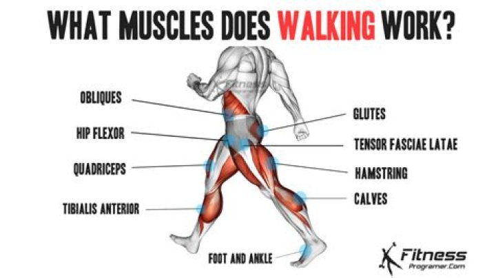 Does walking strengthen hip muscles?