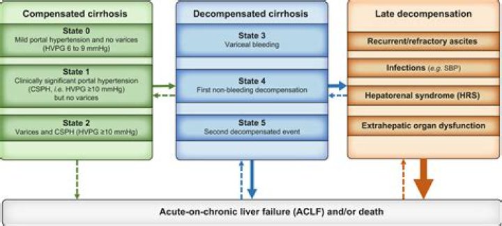 How are broker/dealers compensated?