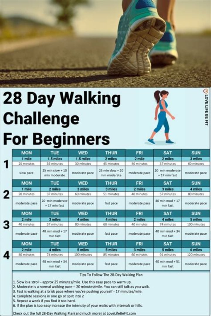 How can I lose a lb a day by walking?