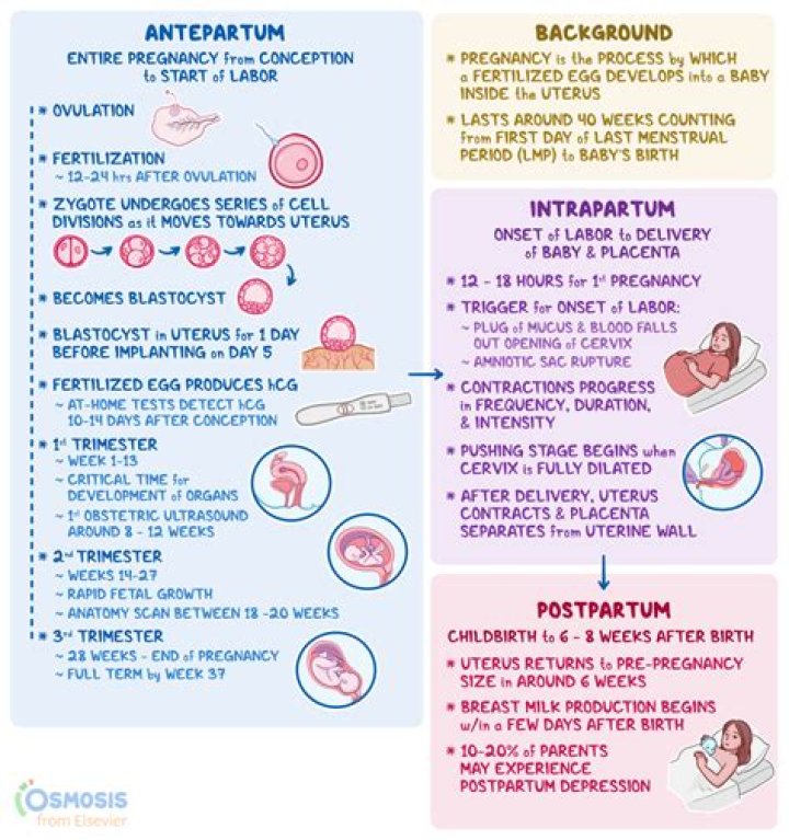How common are complications during birth?