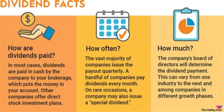 How company dividends are paid?