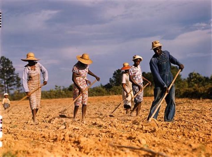 How did sharecropping usually affect the life of the sharecropper?