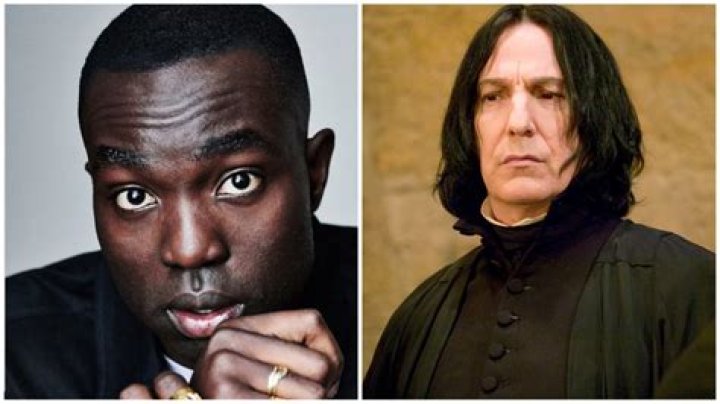 How did Snape hide the sword?