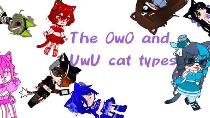 How did the uwu meme start?