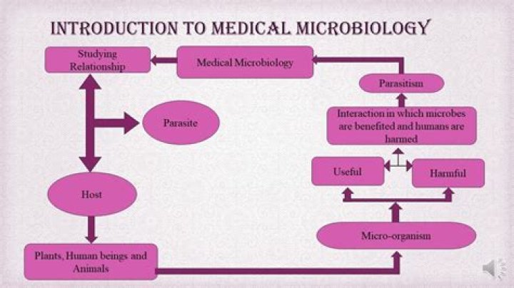 How difficult is microbiology?
