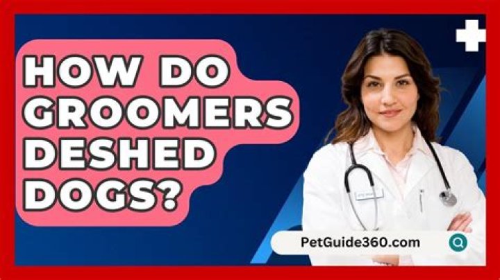 How do groomers Deshed dogs?