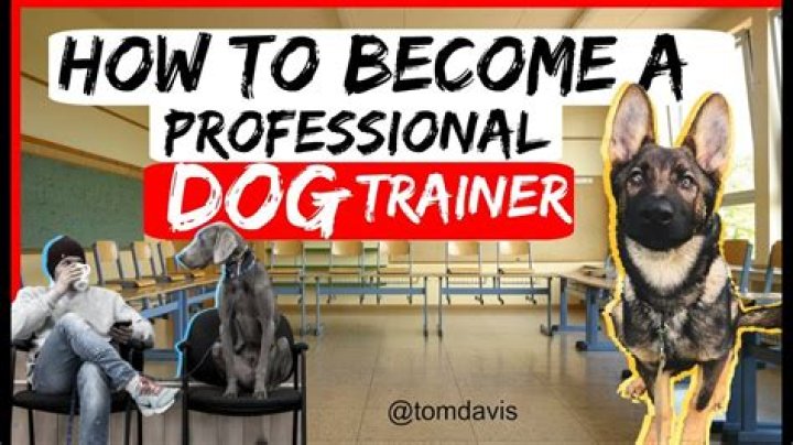 How do I become a dog trainer in Los Angeles?