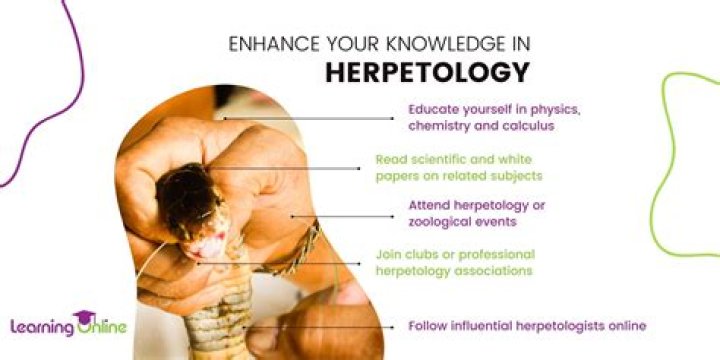 How do I become a herpetologist?