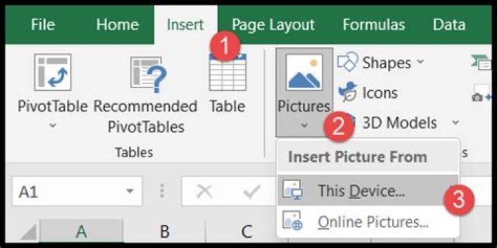 How do I insert a picture into an Access table?