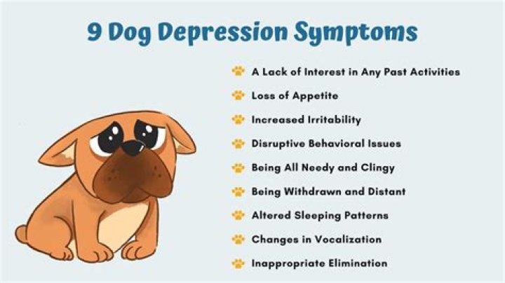 How do I know if my dog is depressed?