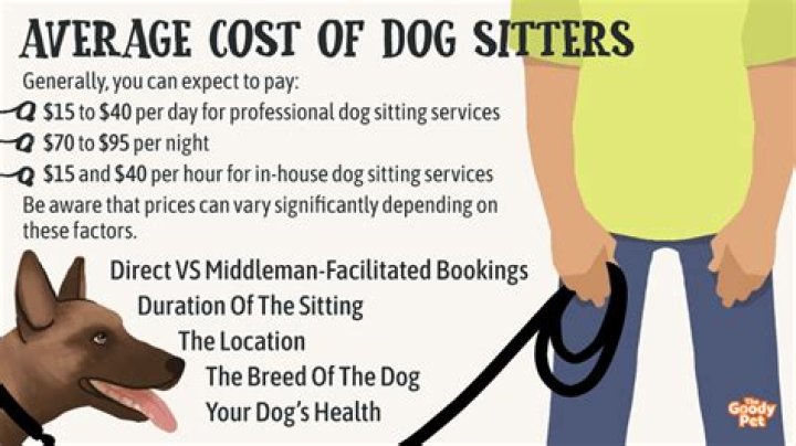 How do pet sitters get paid?