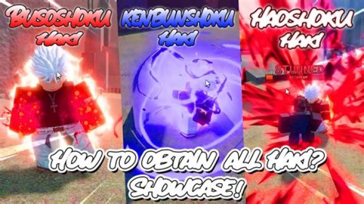 How do you get Buso Haki in King's legacy?