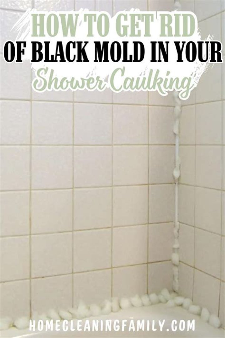 How do you get rid of black mold in shower grout?