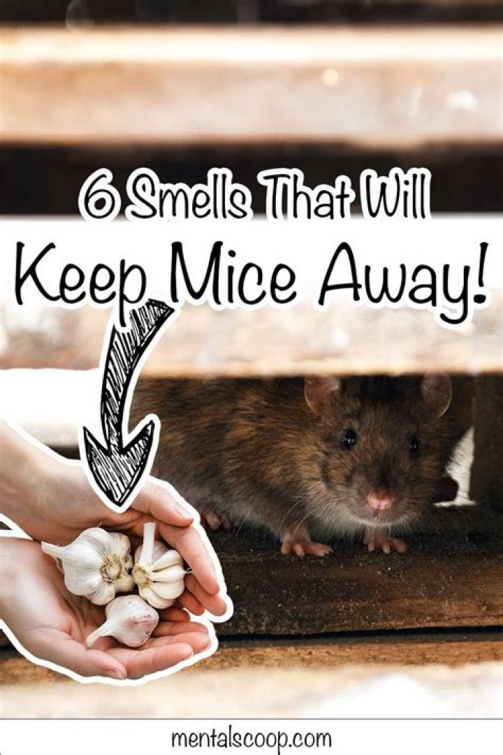 How do you keep mice away naturally?