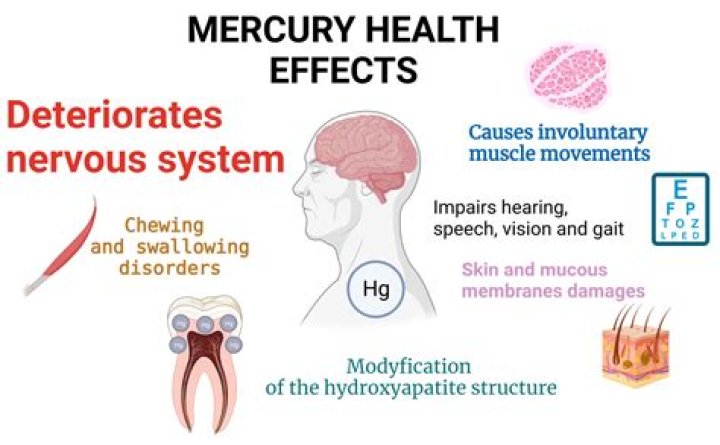 How do you know if you have mercury in your body?