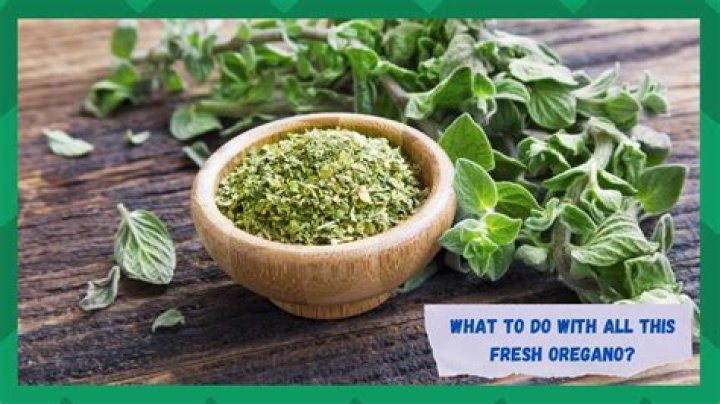 How do you preserve fresh oregano leaves?