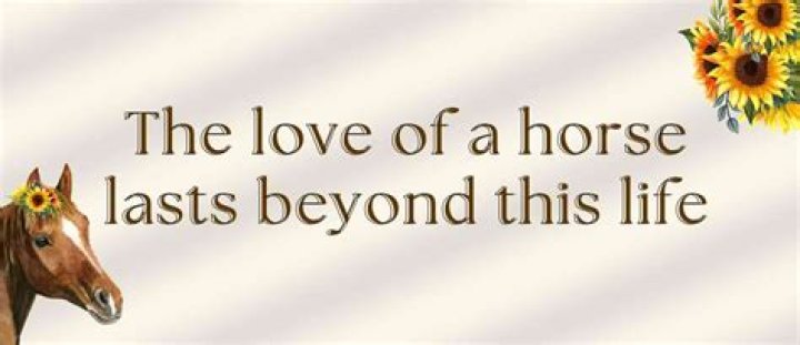 How do you say goodbye to your horse?