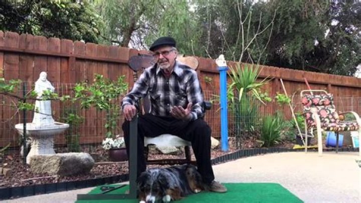 How do you wicket a dog?