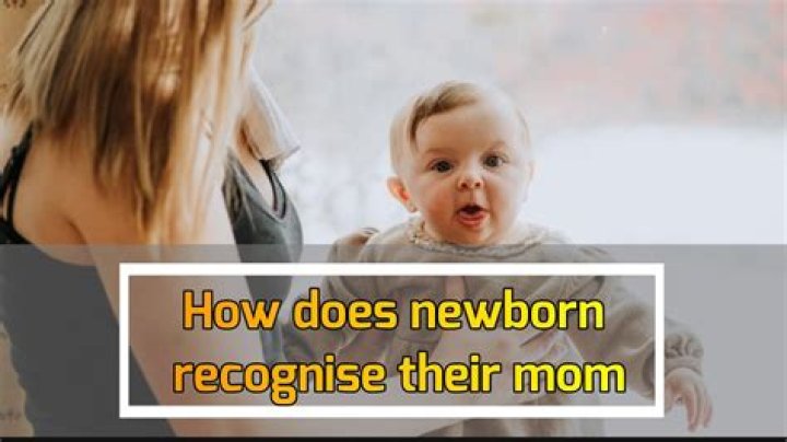 How does a newborn baby recognize his mother?