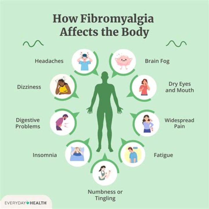 How does fibromyalgia affect the female organs?