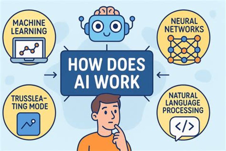 How does the African government work?