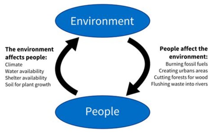 How does the environment affect humans?