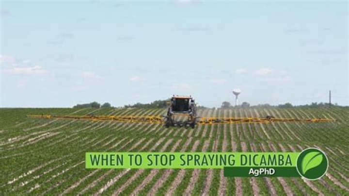 How long after spraying dicamba can it rain?