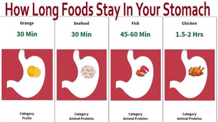 How long does iron stay in your body?