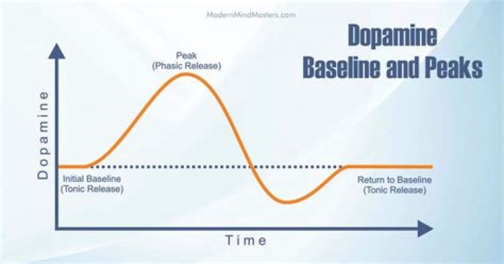 How long does it take for dopamine levels to return to normal?
