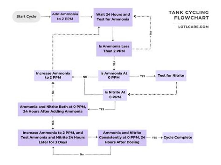 How long does it take to cycle a tank with a quick start?