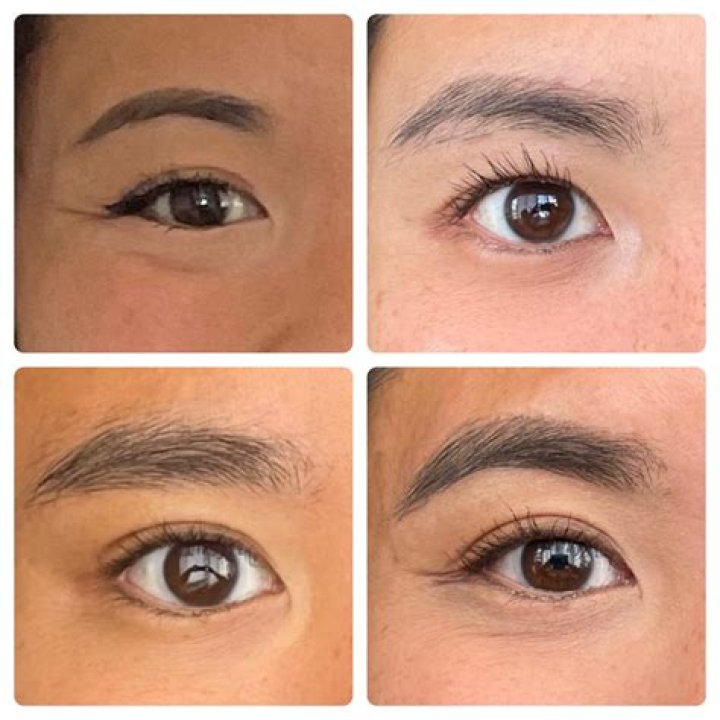 How long does it take to see results from castor oil on eyebrows?