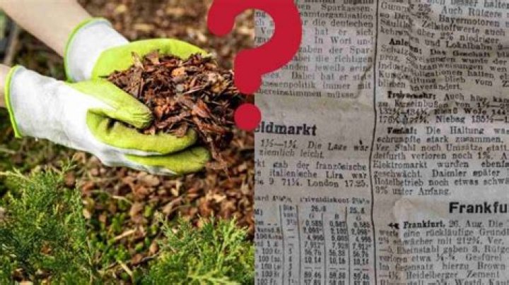 How long does newspaper take to decompose?