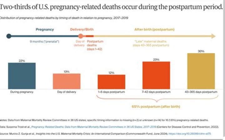 How many deaths occur during childbirth?