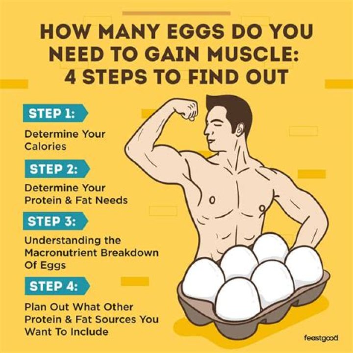 How many eggs should I eat in a day to lose weight?